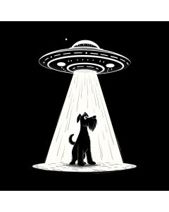 Take Me Home, Planet: A Canine Encounter In The Cosmos