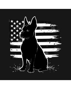 Proud Protector: Shadows Of Liberty And Loyalty