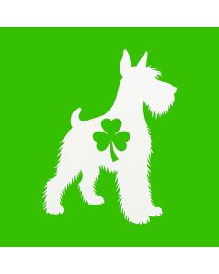 Free Spirit With A Shamrock Heart
