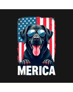 Merica: The Cool Canine Patriot In Shades