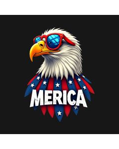 Merica: The Patriot'S Aviator Spirit