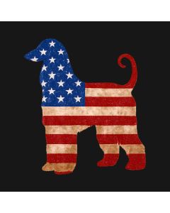 Stars And Stripes Serenade
