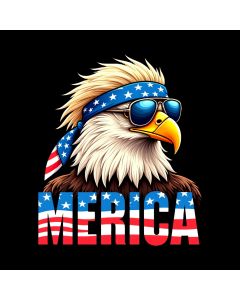 Usa' - Freedom'S Fierce Aviator
