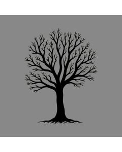 Planting Dreams In The Shadows Of Silence