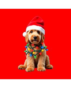 Santa Paws And The Festive Tangle