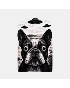 Fear Of The Unknown: A Dog’S Dreamscape In Monochrome
